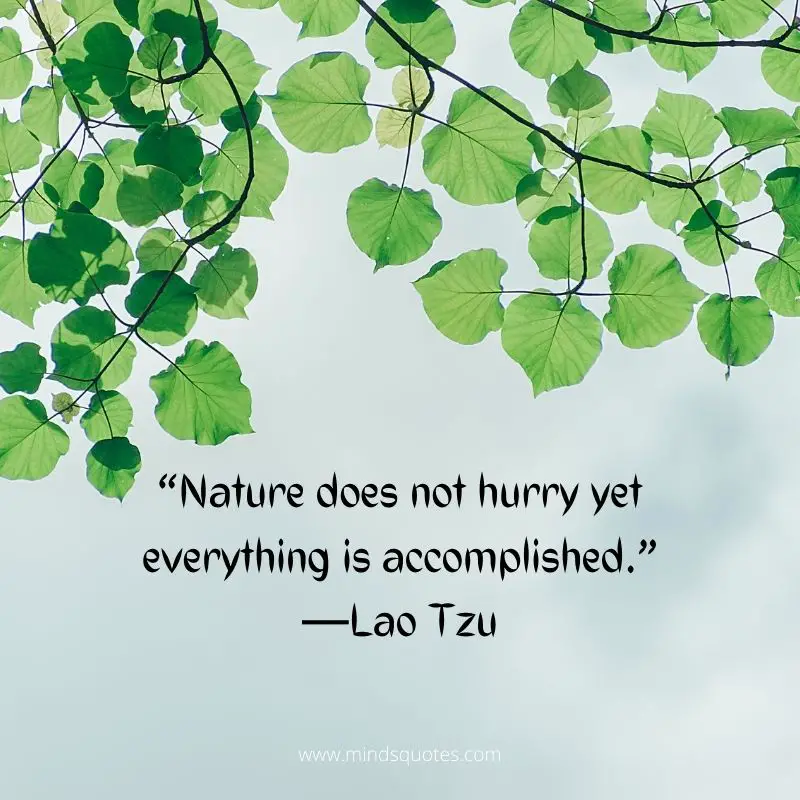 world environment day quotes