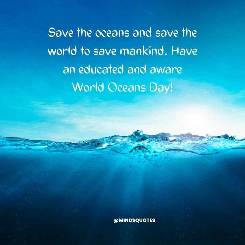 world ocean day 2023 poster