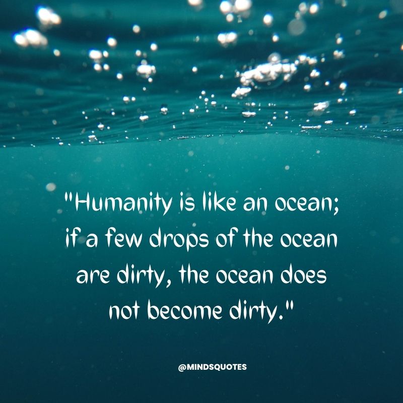 World Ocean Day 2022 Quotes