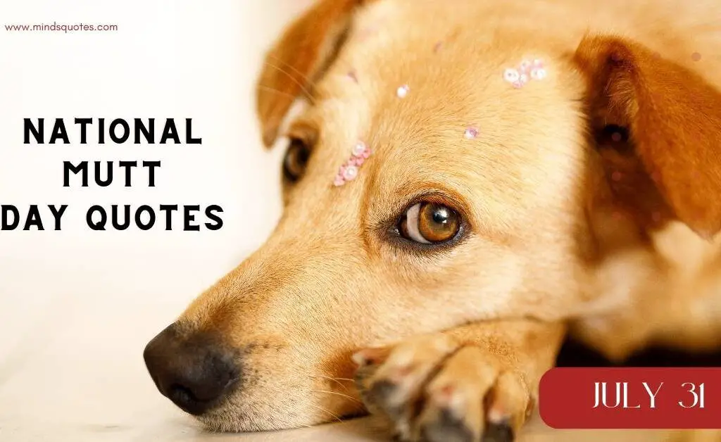 25+ BEST Happy National Mutt Day Quotes, Wishes & Messages