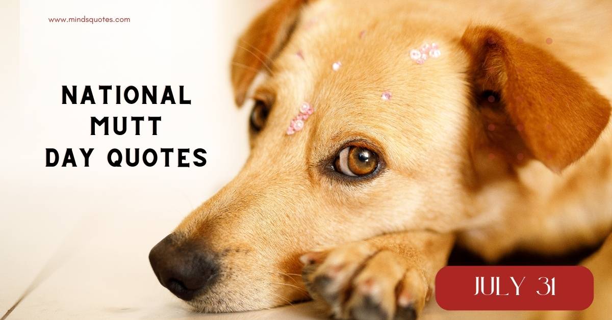 21+ BEST Happy National Mutt Day Quotes, Wishes & Message