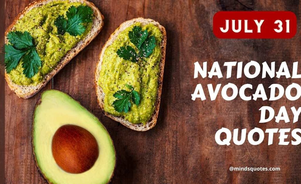 28+ BEST National Avocado Day Quotes, Wishes & Message