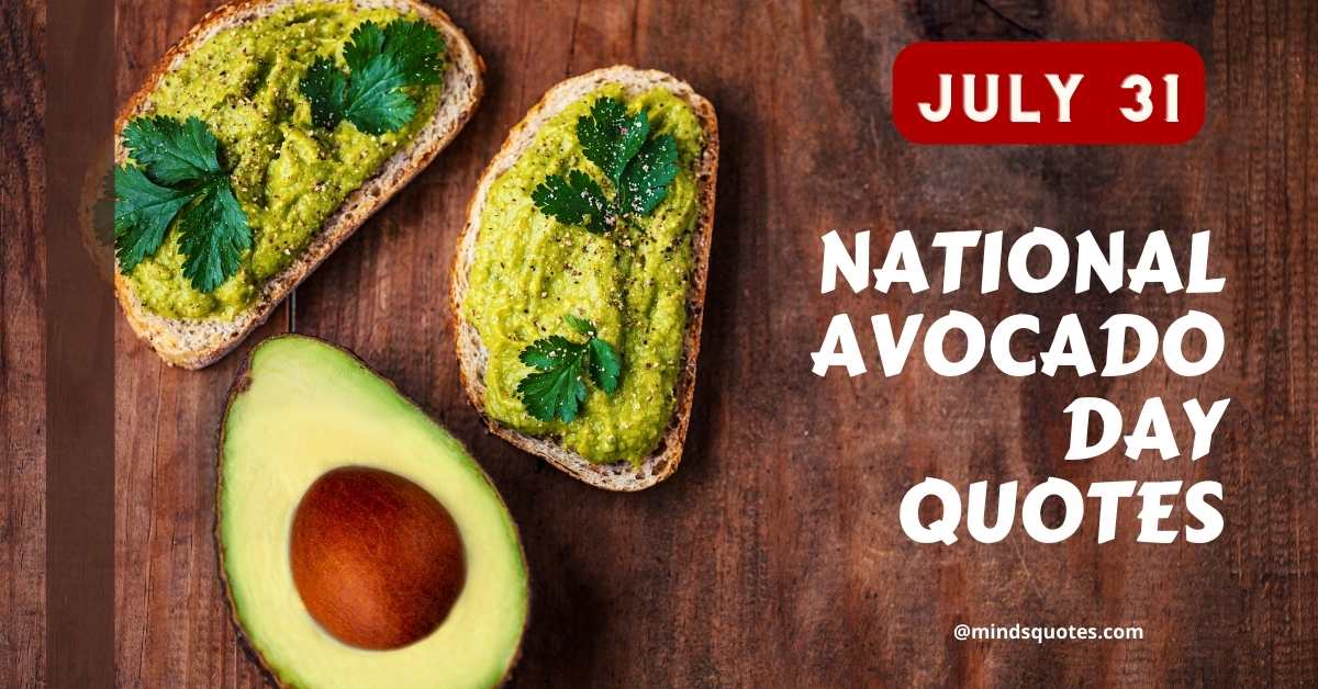 28+ BEST National Avocado Day Quotes, Wishes & Message