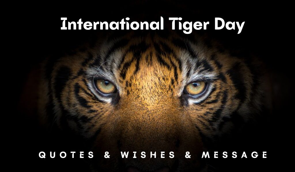50+ BEST International Tiger Day Quotes, Wishes & Message