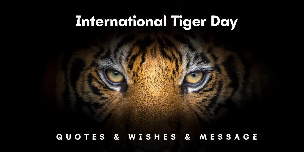 50+ BEST International Tiger Day Quotes, Wishes & Message