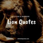 92+ BEST Warrior Lion Quotes on Attitude, Success & Savage