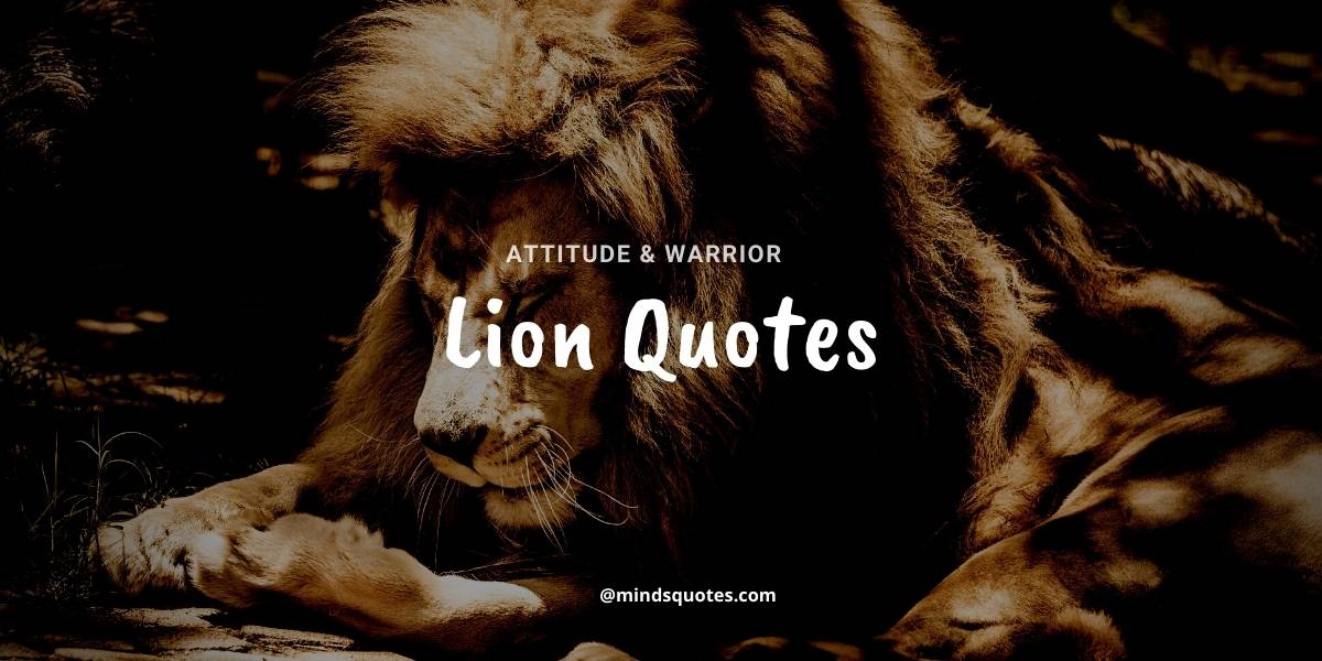 92+ BEST Warrior Lion Quotes On Attitude, Success & Savage