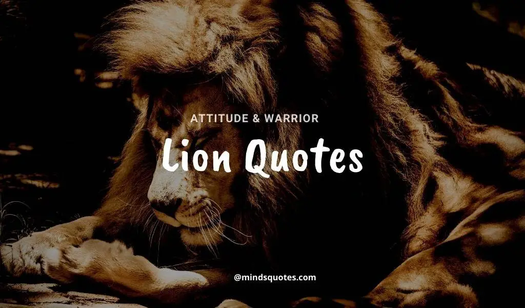 92 Best Warrior Lion Quotes On Attitude Success Savage