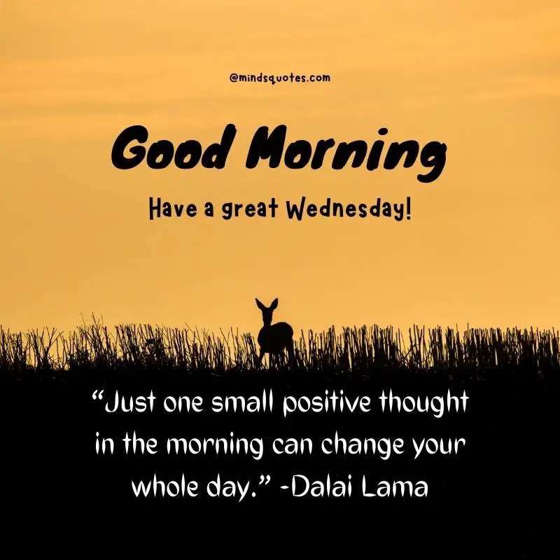 123+ Uplifting Good Morning Wednesday Inspirational Quotes 9 Good Morning Wednesday Motivation Quotes