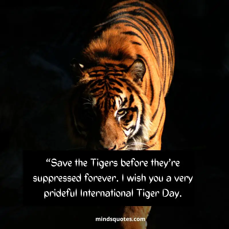 50+ BEST International Tiger Day Quotes, Wishes & Message 8 Happy International Tiger Day Wishes