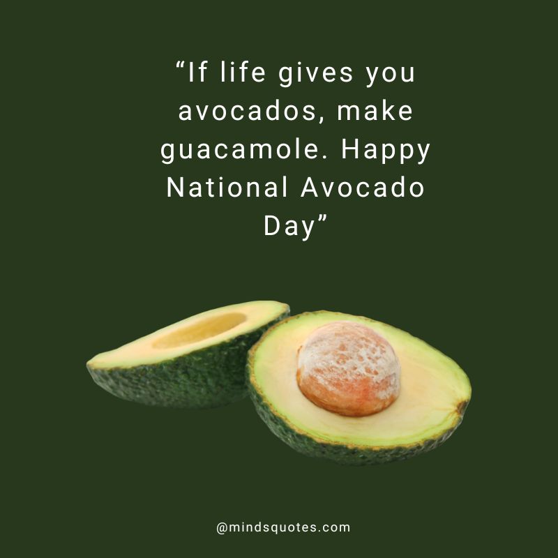 28+ BEST National Avocado Day Quotes, Wishes & Messages 13 Happy National Avocado Day Message