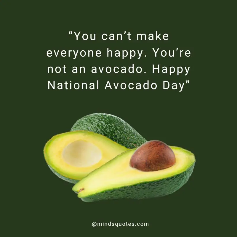 28+ BEST National Avocado Day Quotes, Wishes & Messages 14 Happy National Avocado Day Message