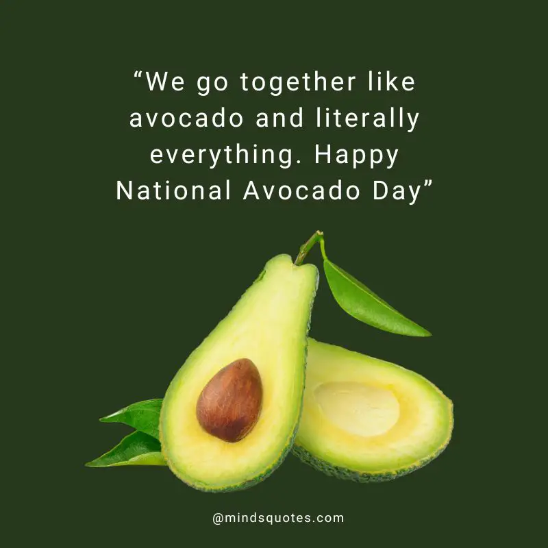 28+ BEST National Avocado Day Quotes, Wishes & Messages 12 Happy National Avocado Day Message