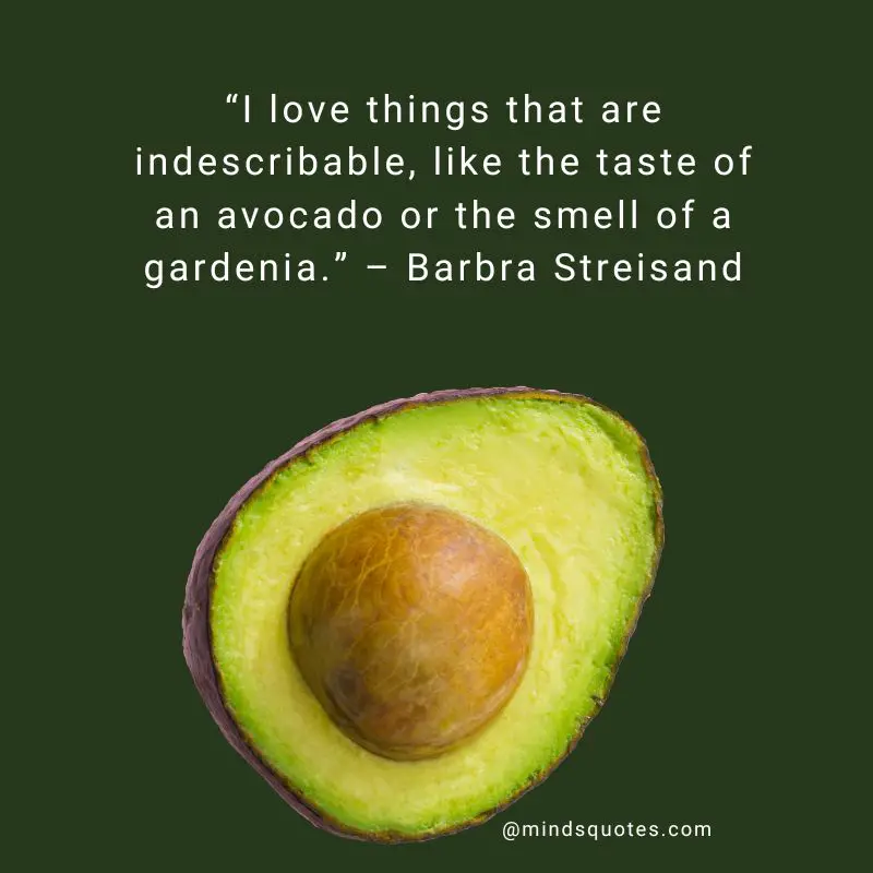 28+ BEST National Avocado Day Quotes, Wishes & Messages 4 Happy National Avocado Day Quotes