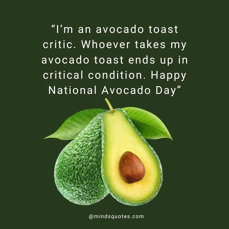 28+ BEST National Avocado Day Quotes, Wishes & Messages 10 Happy National Avocado Day Wishes