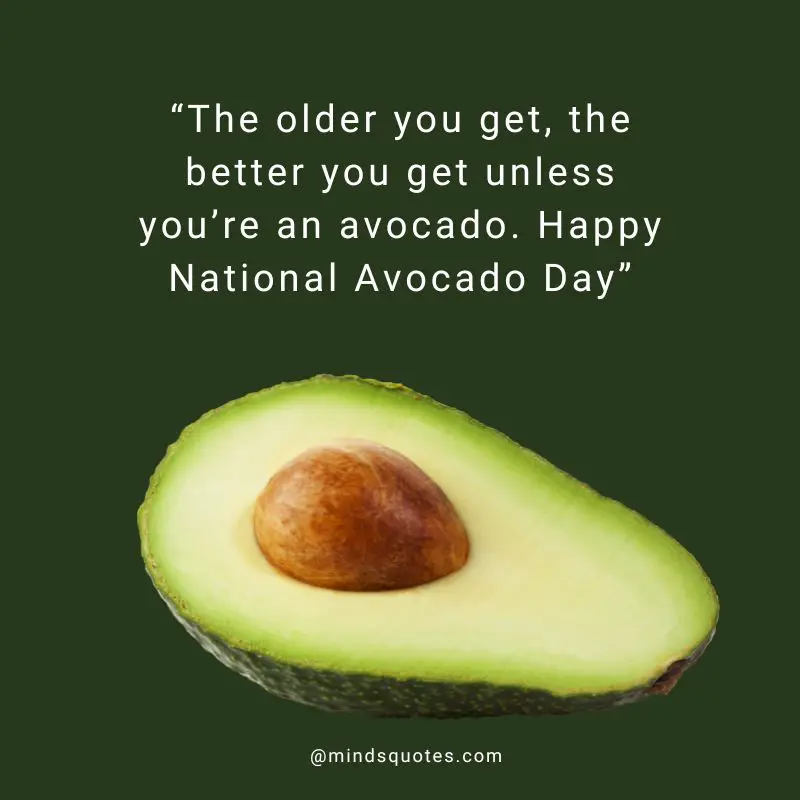 28+ BEST National Avocado Day Quotes, Wishes & Messages 6 Happy National Avocado Day Wishes