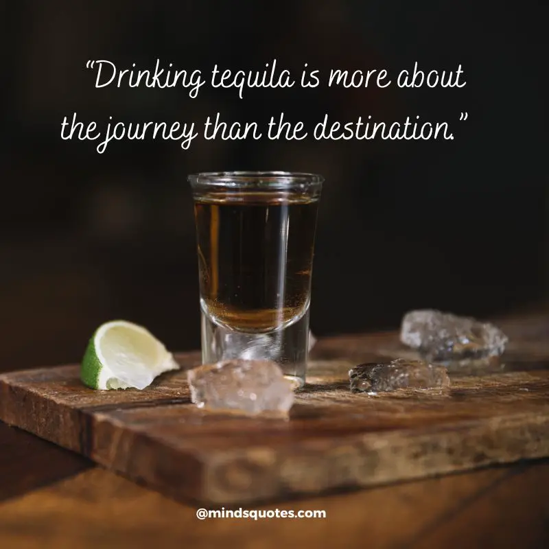 44+ BEST National Tequila Day Quotes, Wishes & Message 24 July 11 Happy National Tequila Day Message 2022