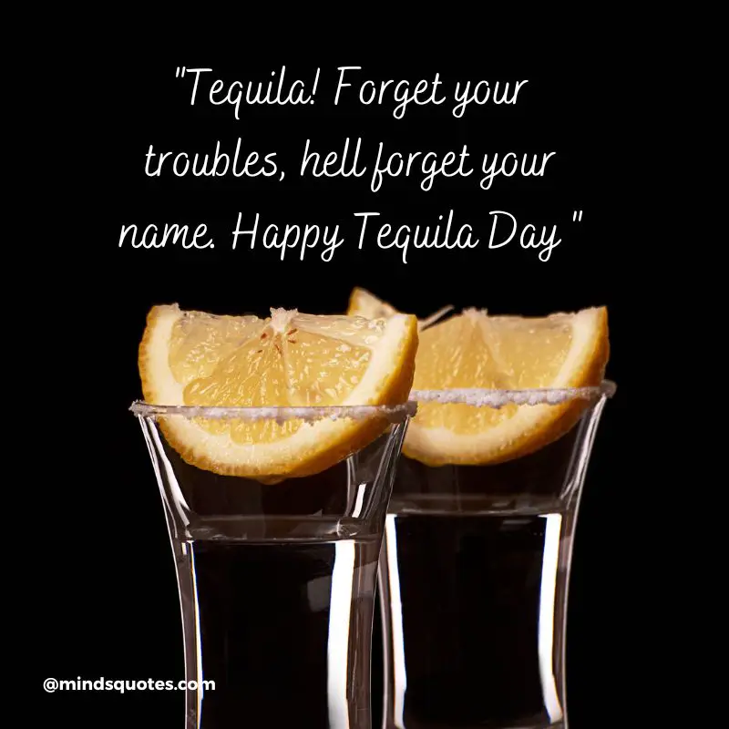 44+ BEST National Tequila Day Quotes, Wishes & Message 24 July 10 Happy National Tequila Day Message