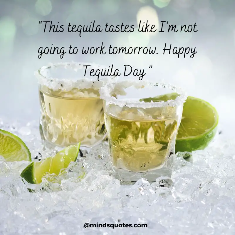 44+ BEST National Tequila Day Quotes, Wishes & Message 24 July 7 Happy National Tequila Day Wishes 2022