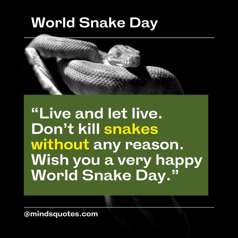 Happy World Snake Day Message 