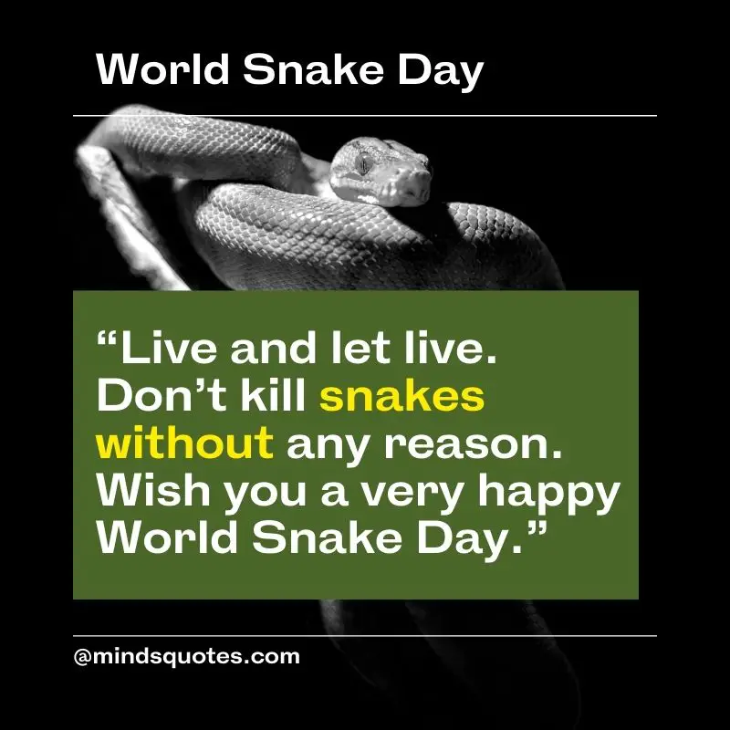53+ BEST World Snake Day Quotes, Wishes & Messages 13 Happy World Snake Day Message