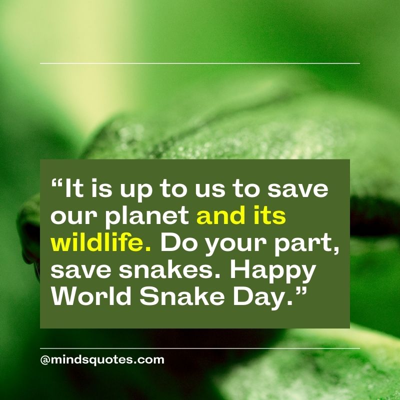 Happy World Snake Day Wishes