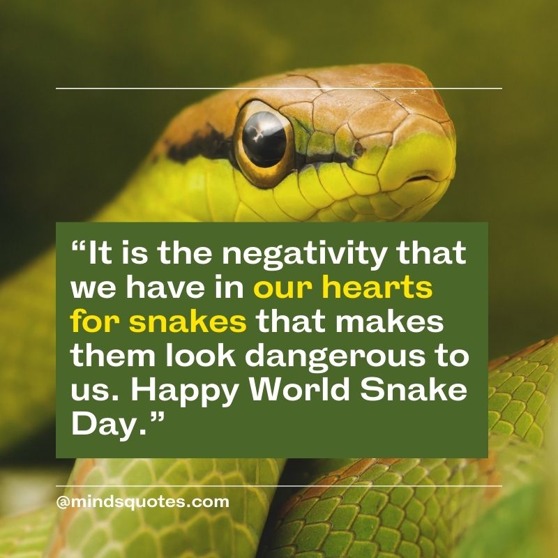 Happy World Snake Day Wishes