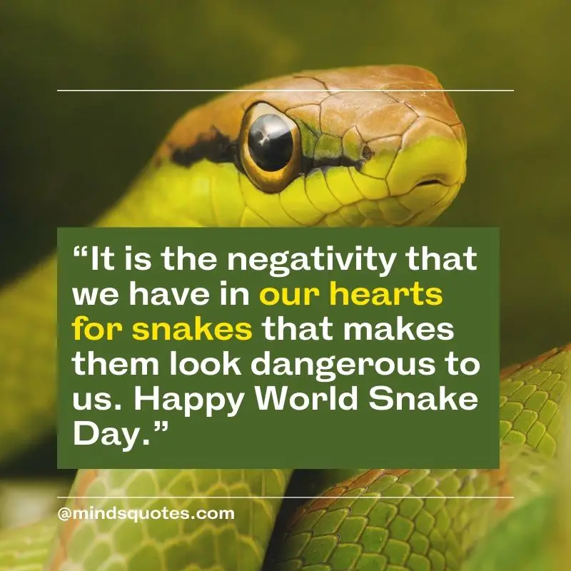 53+ BEST World Snake Day Quotes, Wishes & Messages 8 Happy World Snake Day Wishes