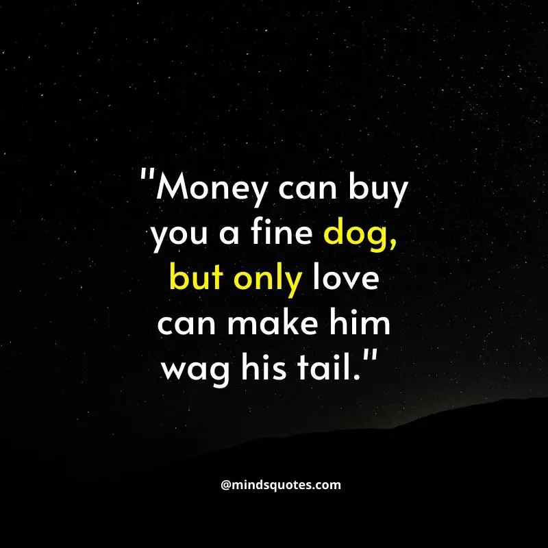 101 BEST Hurt Quotes on Money, Love & Relationship 28 Hurt Quotes on Money and relationship