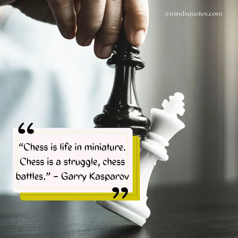 40+ BEST International Chess Day Quotes, Wishes & Message 2 International Chess Day Quotes