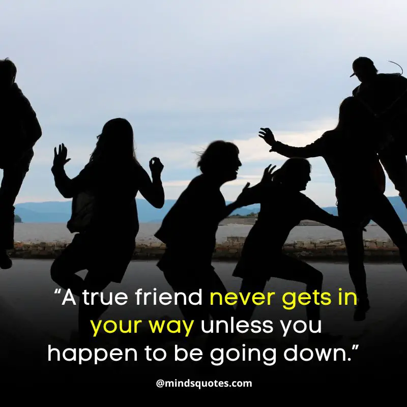 72 International Friendship Day Quotes & Wishes, Messages 19 International Funny Best Friend Day Quotes 2022