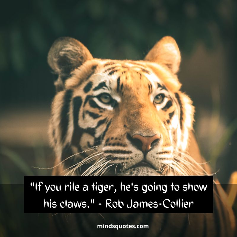 International Tiger Day Quotes 2022