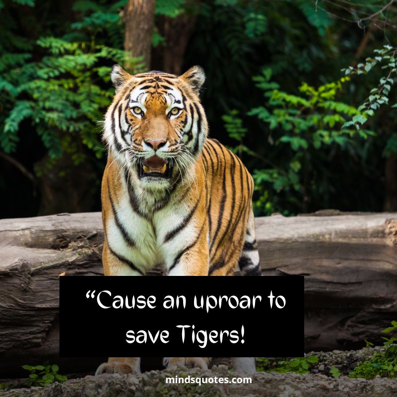 International Tiger Day Slogans 2022