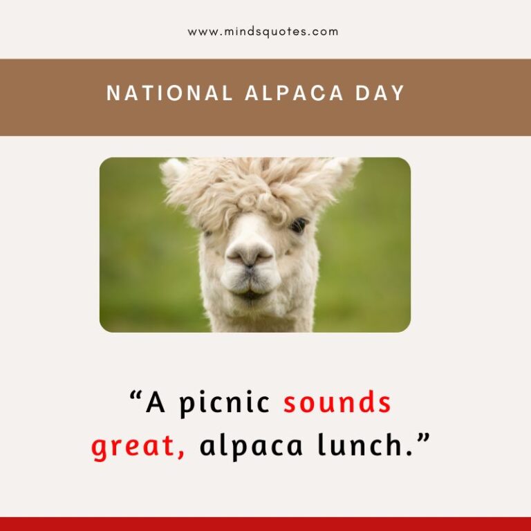 50 BEST National Alpaca Day Quotes & Messages