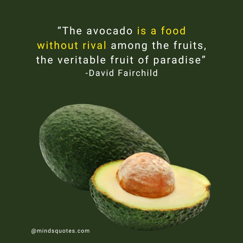 National Avocado Day Quotes
