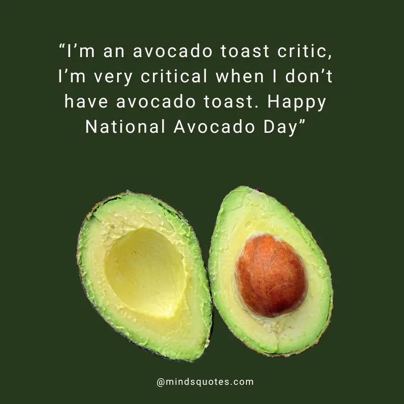28+ BEST National Avocado Day Quotes, Wishes & Messages 5 National Avocado Day Wishes