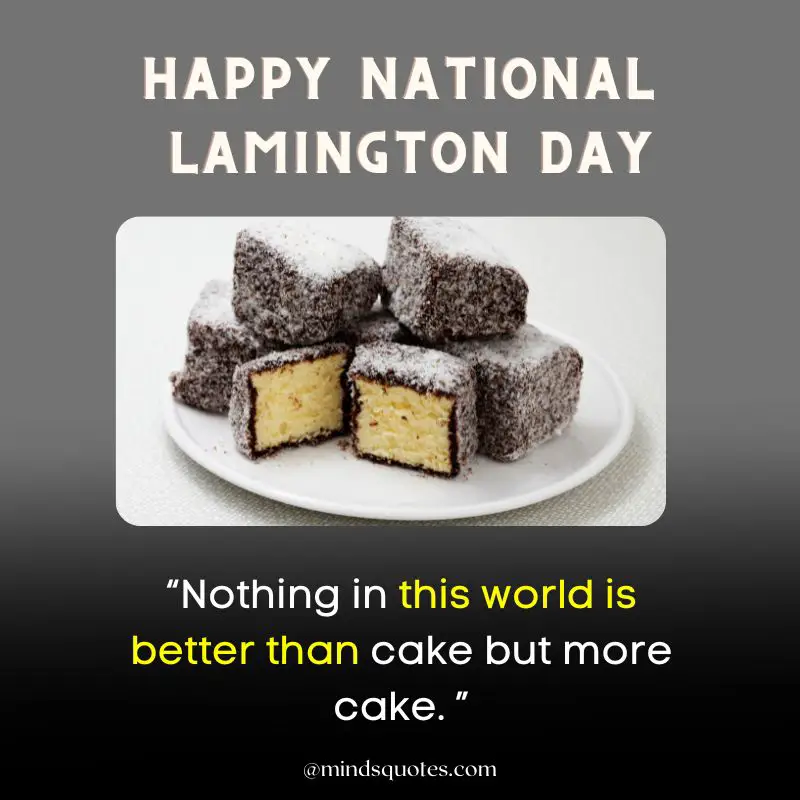 13 BEST National Lamington Day Quotes, Wishes & Messages in Australia 3 National Lamington Day Quotes 2022