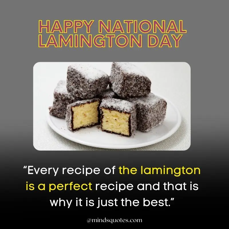 13 BEST National Lamington Day Quotes, Wishes & Messages in Australia 2 National Lamington Day Quotes