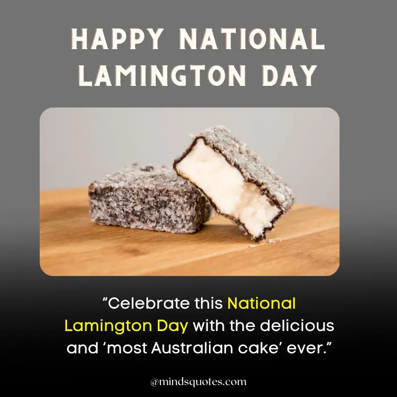 13 BEST National Lamington Day Quotes, Wishes & Messages in Australia 5 National Lamington Day Wishes 2022