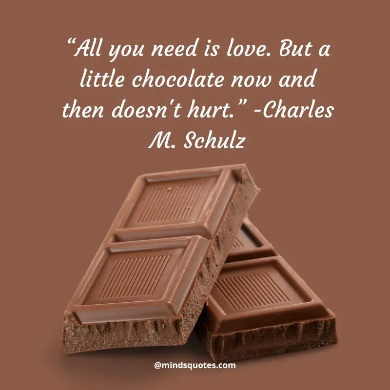 27+ BEST National Milk Chocolate Day Quotes, Wishes & Messages 2 National Milk Chocolate Day Quotes