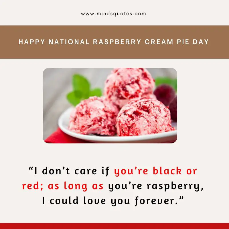 22 BEST National Raspberry Cream Pie Day Quotes & Wishes 4 National Raspberry Cream Pie Day Quotes