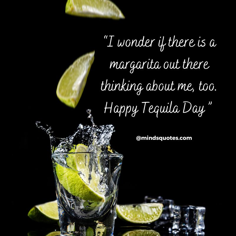 National Tequila Day Wishes 