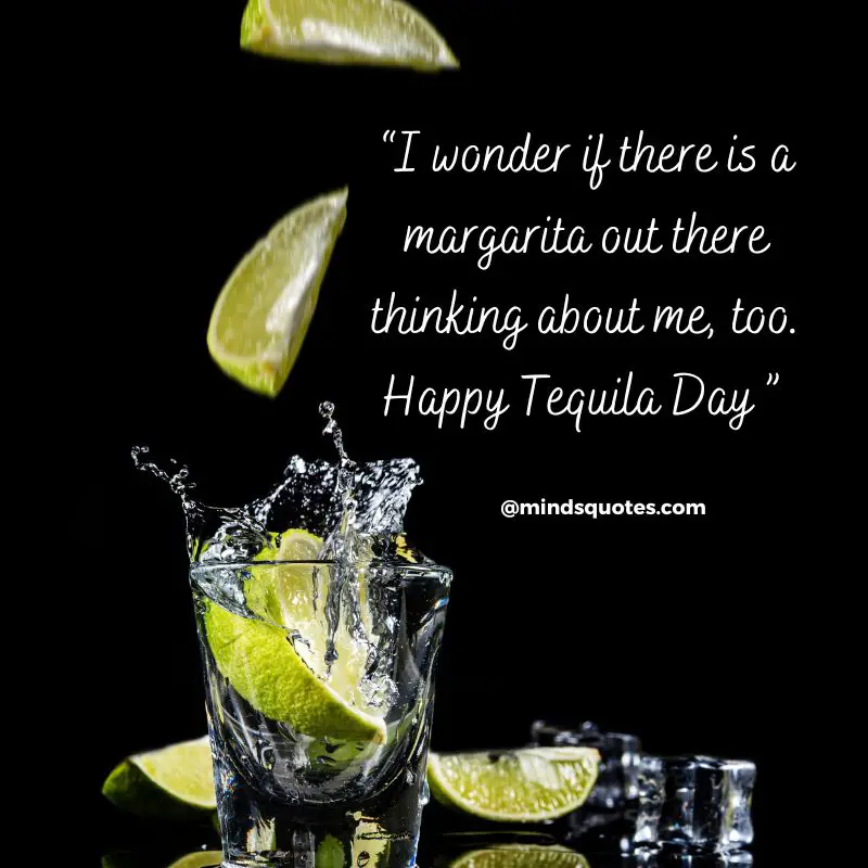 44+ BEST National Tequila Day Quotes, Wishes & Message 24 July 8 National Tequila Day Wishes
