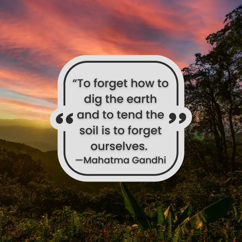 50+ BEST World Nature Conservation Day Quotes & Wishes 8 Nature Quotes