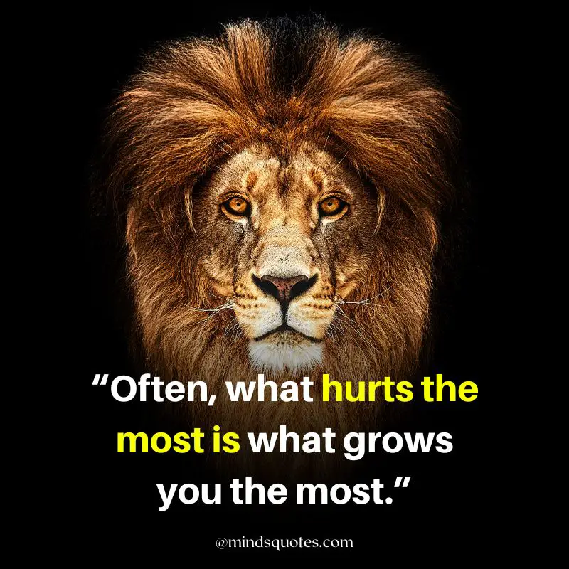 92+ BEST Warrior Lion Quotes on Attitude, Success & Savage 18 Savage Lion Quotes