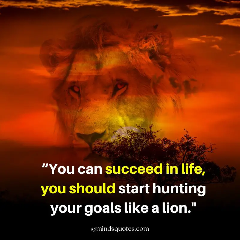 92+ BEST Warrior Lion Quotes on Attitude, Success & Savage 23 Success Lion Quotes for Whatsapp