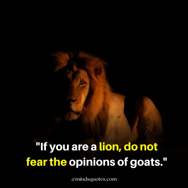 Success Lion Quotes