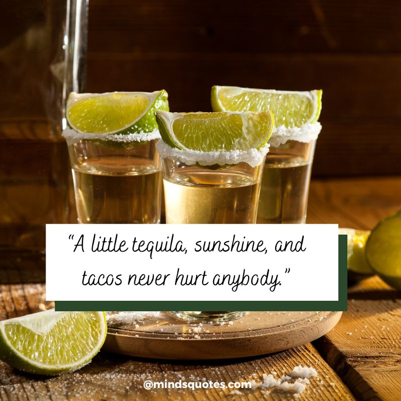 Tequila Day Quotes 