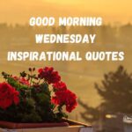 123+ Uplifting Good Morning Wednesday Inspirational Quotes