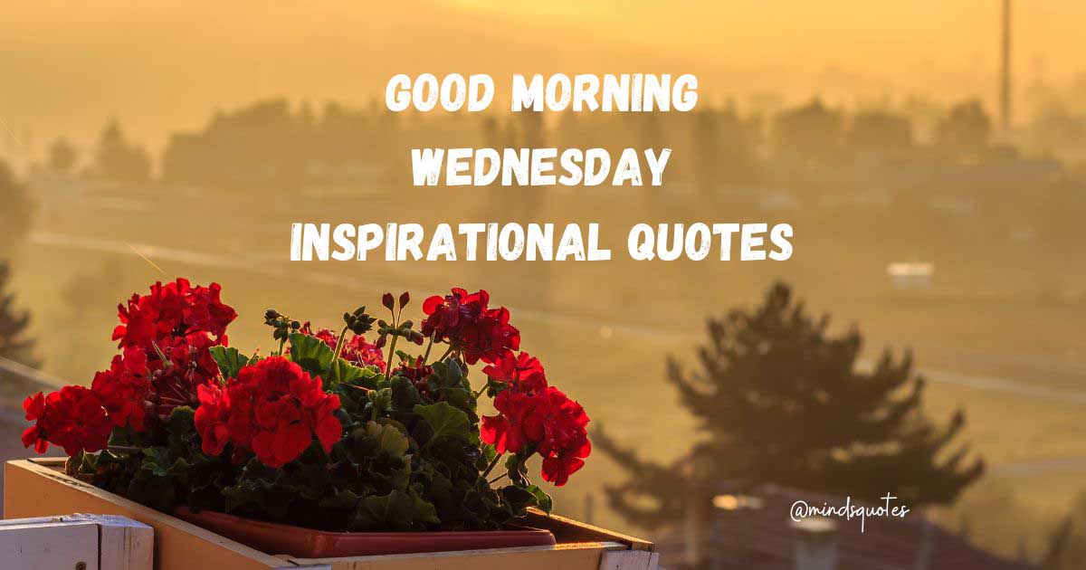 123+ Uplifting Good Morning Wednesday Inspirational Quotes